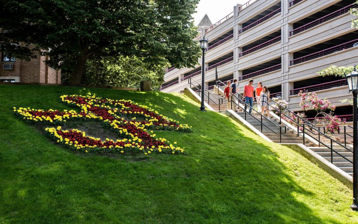 Flowers on campus