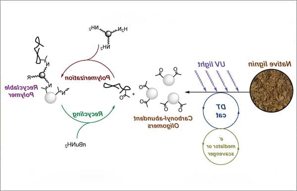 Virus-assisted directed evolution of enhanced suppressor tRNAs in mammalian cells Read the article in Nature Methods.